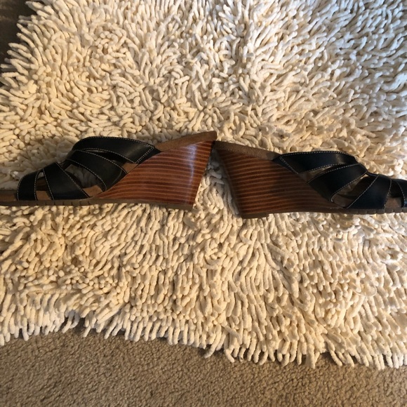 Aerosols - Picture 4 of 4